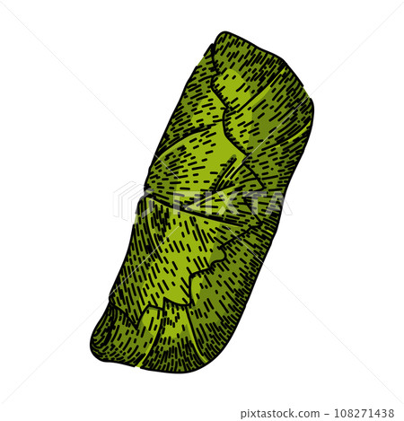 meal dolma sketch hand drawn vector meal dolma sketch hand drawn vector 108271438