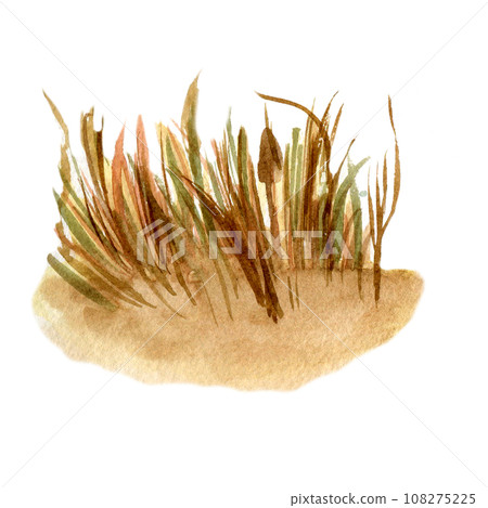 Field of wheat landscape watercolor illustration isolated on white background. Hand drawn grass. View of rye hand painted . Element for design package bread, trade, grocery store, bakery Field of wheat landscape watercolor illustration isolated on white background. Hand drawn grass. View of rye hand painted . Element for design package bread, trade, grocery store, bakery 108275225