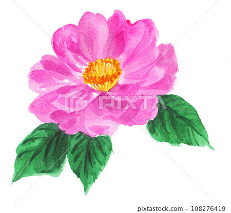 Sasanqua flower painted in watercolor 231030pix7 108276419