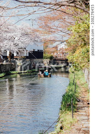 Omihachiman City, Shiga Prefecture Hachimanbori Cherry Blossom Trees and Moat 108276455
