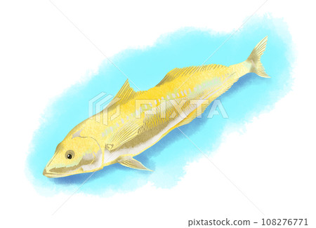 Illustration of a collage relaxing on the sandy bottom of the ocean 108276771