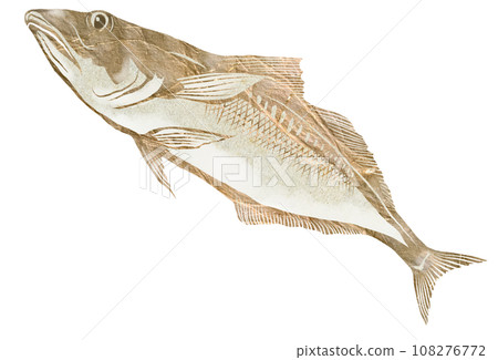 Paste-style illustration of a duck 108276772