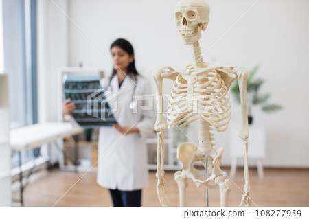 Nurse with x ray scan standing near modern of human skeleton Nurse with x ray scan standing near modern of human skeleton 108277959
