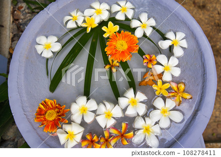 Flower interior floating on water 108278411