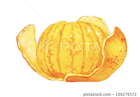 Watercolor illustration of peeled tangerines 108278572