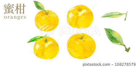 水彩畫的柑橘插圖集 水彩畫的柑橘插圖集 108278579