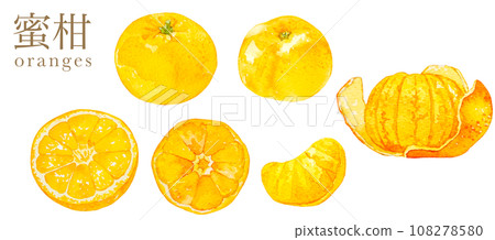 Autumn, seasonal fruits, mandarin oranges, autumn image materials Autumn, seasonal fruits, mandarin oranges, autumn image materials 108278580