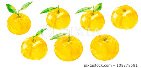 薩摩柑橘水彩插圖集 108278581