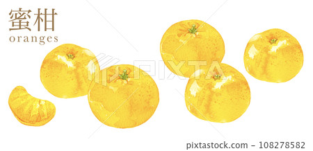 水彩風格可愛的橘子插圖 水彩風格可愛的橘子插圖 108278582