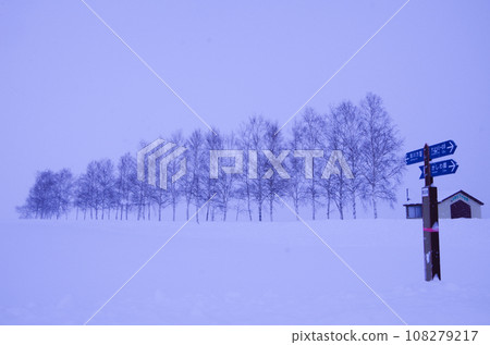 Snow scene 108279217
