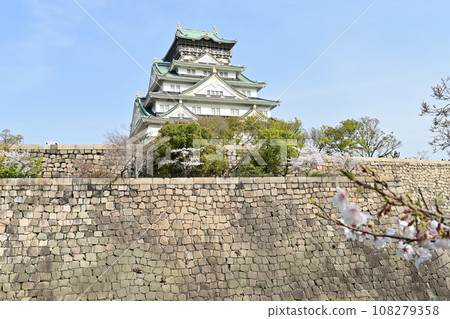 View of cherry blossoms from Osaka Castle Nishinomaru Garden View of cherry blossoms from Osaka Castle Nishinomaru Garden 108279358