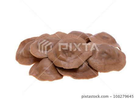 Italian ravioli isolated 108279645