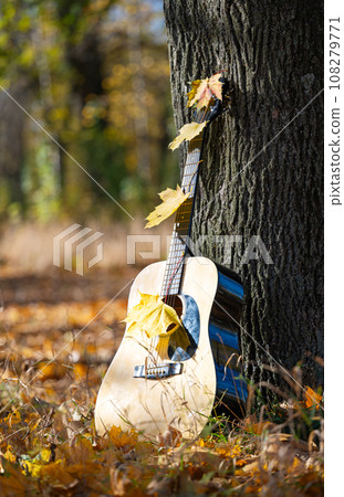 guitar in nature on a sunny day in autumn 108279771