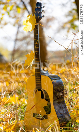 guitar in nature on a sunny day in autumn 108279776
