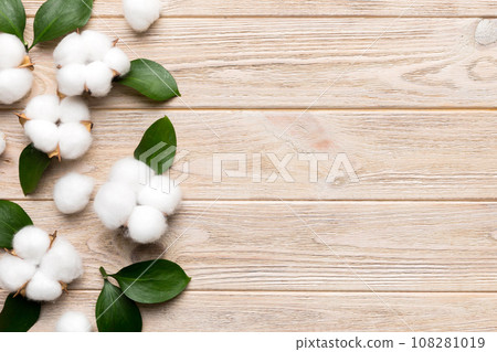 Autumn Floral Flat lay background composition. Dried white fluffy cotton flower branchwith green leaf top view on colored table with copy space 108281019