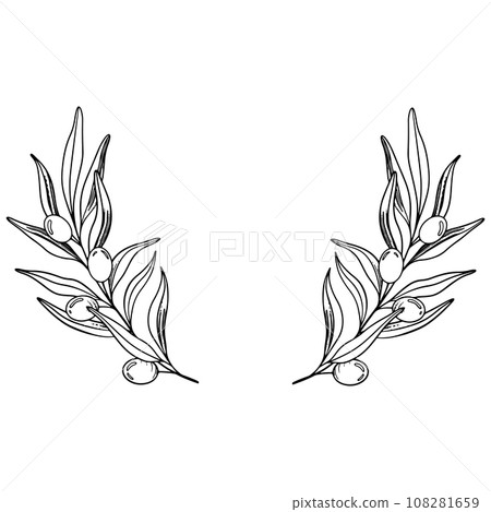 Sketch Wreath of olive branch with berries and leaves. Hand drawn vector line art illustration. Black and white drawing of the symbol of Italy or Greek for cards, design logo, tattoo 108281659