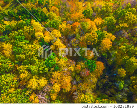 Colourful autumn forest form above, captured with a drone. Natural seasonal landscape background. Colourful autumn forest form above, captured with a drone. Natural seasonal landscape background. 108281989