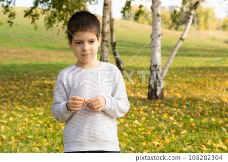 Little boy in the park in warm autumn holding yellow birch leaf in hands Little boy in the park in warm autumn holding yellow birch leaf in hands 108282304