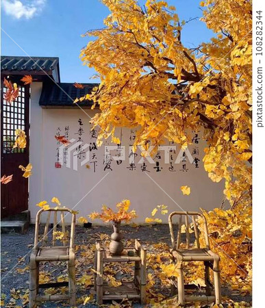 中國山水（銀杏） 108282344