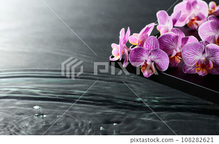 Beautiful purple orchid flowers on a blackboard. Beautiful purple orchid flowers on a blackboard. 108282621