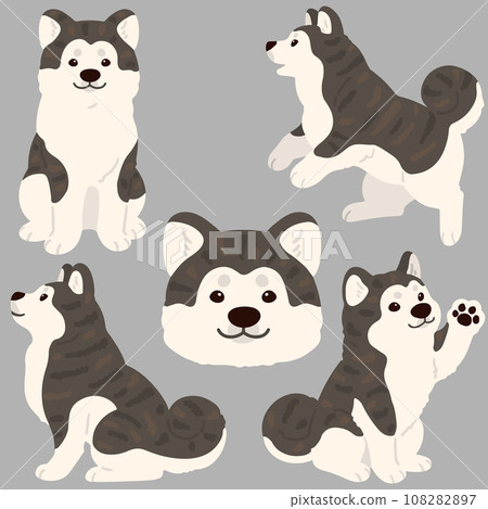 簡單可愛的老虎毛秋田犬插畫集，無主線 108282897