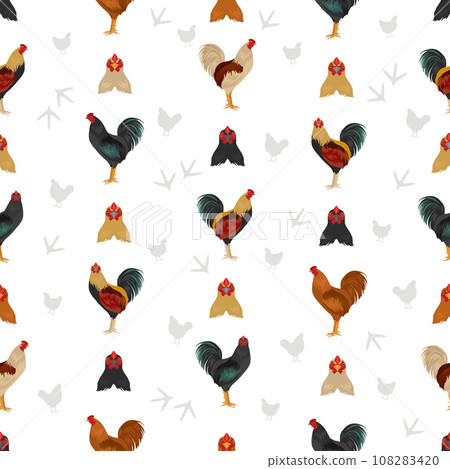 American Game Chicken breeds seamless pattern. Poultry and farm animals. Different colors set 108283420