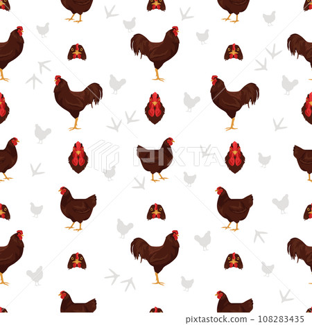 Buckeye Chicken breeds seamless pattern. Poultry and farm animals. Different colors set 108283435