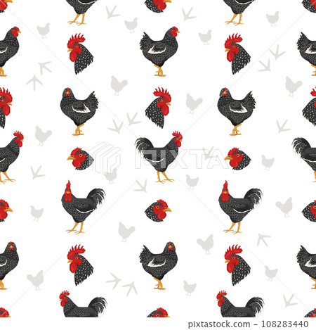 California Grey Chicken breeds seamless pattern. Poultry and farm animals. Different colors set 108283440