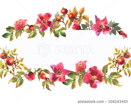 Watercolor hand painted dog rose floral banner isolated on white background. 108283485