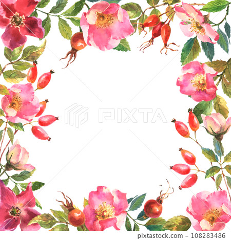 Rosehip Frame. Flowers, leaves and fruits of wild roses. Briar, watercolor painting for decoration. Rosehip Frame. Flowers, leaves and fruits of wild roses. Briar, watercolor painting for decoration. 108283486