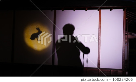 Meet Usagi at a shadow puppet photogenic spot Meet Usagi at a shadow puppet photogenic spot 108284206