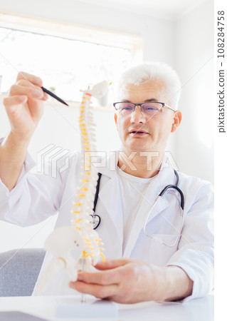 Middle aged male doctor pointing on human spine model with a pen sitting in medical clinic office. Spinal healthcare and back pain treatment concept. Vertical card. Selective focus, copy space 108284758