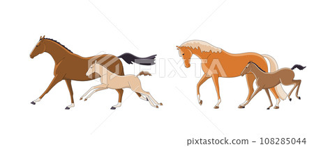 Mares with foals on a walk Mares with foals on a walk 108285044