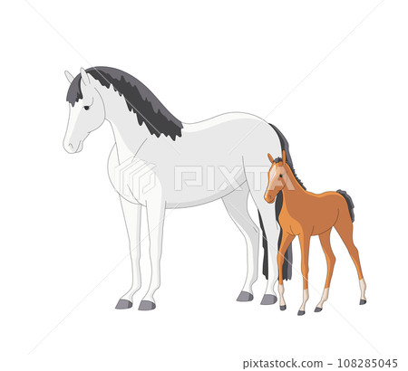 Beautiful mare with a newborn foal Beautiful mare with a newborn foal 108285045