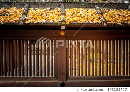 下鴨神社的秋天，雪社和河合神社築地牆上落下的銀杏葉 108285727