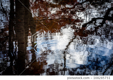 下鴨神社的秋天，秋天的天空和樹影倒映在忠之森的奈良溪流中，漣漪畫出同心圓 108285731