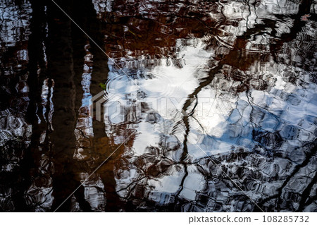 Autumn at Shimogamo Shrine, autumn sky and tree shadows reflected in the Nara stream in Tadasu no Mori, concentric circles drawn by ripples Autumn at Shimogamo Shrine, autumn sky and tree shadows reflected in the Nara stream in Tadasu no Mori, concentric circles drawn by ripples 108285732