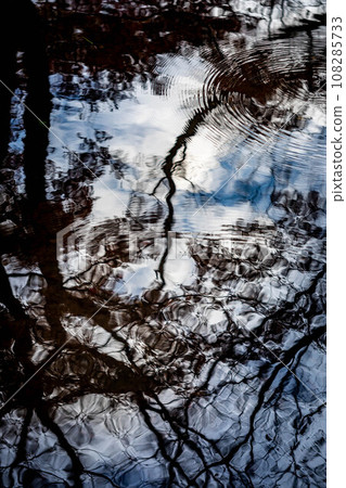 Autumn at Shimogamo Shrine, autumn sky and tree shadows reflected in the Nara stream in Tadasu no Mori, concentric circles drawn by ripples 108285733