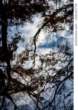 Autumn at Shimogamo Shrine, autumn sky and tree shadows reflected in the Nara stream in Tadasu no Mori, concentric circles drawn by ripples Autumn at Shimogamo Shrine, autumn sky and tree shadows reflected in the Nara stream in Tadasu no Mori, concentric circles drawn by ripples 108285734