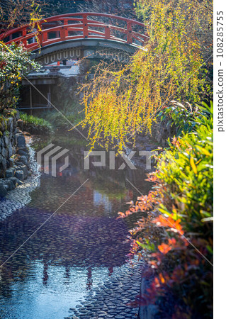 Autumn at Shimogamo Shrine, ``Rinbashi'', a drum bridge spanning the Mitarai River, and autumn flowers 108285755