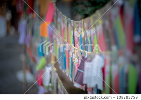 下鴨神社的秋天，在境內的節社和相生社的彩色福簽 108285759