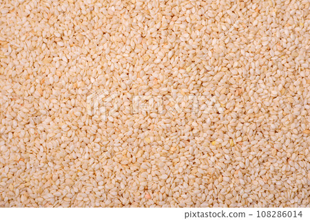 Raw white sesame seeds or grains in a bowl on a textured concrete background Raw white sesame seeds or grains in a bowl on a textured concrete background 108286014