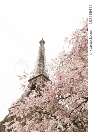 eiffel tour and from Trocadero, Paris 108286452