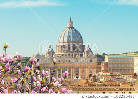 St. Peter's cathedral in Rome, Italy 108286485