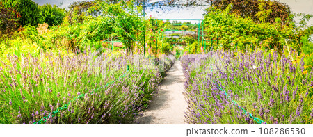 Gverny green garden gallery Gverny green garden gallery 108286530