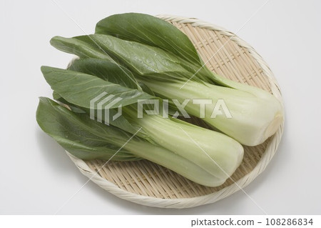 Bok choy. Bok choy. 108286834
