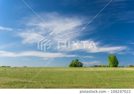 [Background material] Refreshing blue sky and green space 108287022