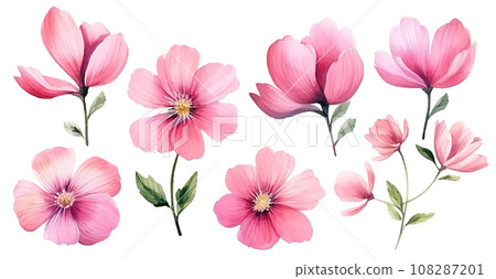 flower, watercolor, bloom 108287201