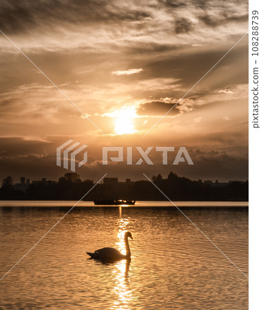 Mito City, Ibaraki Prefecture: Morning at Senba Lake with autumn leaves Mito City, Ibaraki Prefecture: Morning at Senba Lake with autumn leaves 108288739