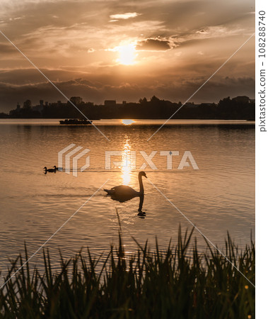 Mito City, Ibaraki Prefecture: Morning at Senba Lake with autumn leaves Mito City, Ibaraki Prefecture: Morning at Senba Lake with autumn leaves 108288740